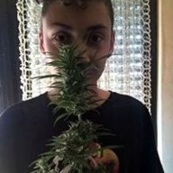 MisterSpliff