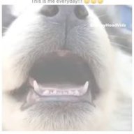 ertrdey