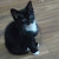 analoginterfacetm