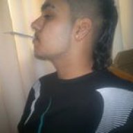 sherdil