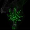 Sinicize