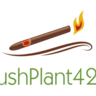 ⚡️⚡️KushPlant420⚡️⚡️