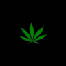 JadenDavis