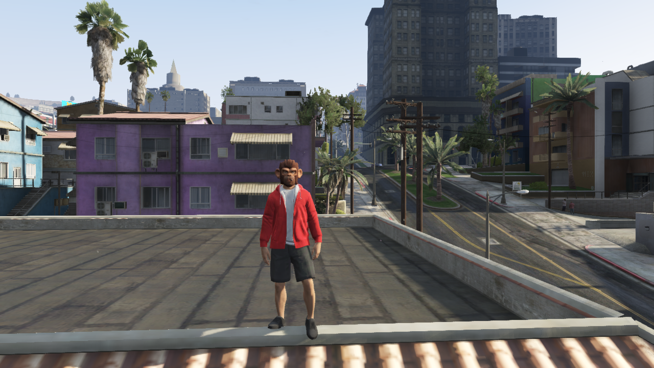 Grand_Theft_Auto_V_3.png