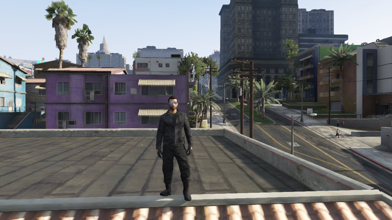 Grand_Theft_Auto_V_2.png