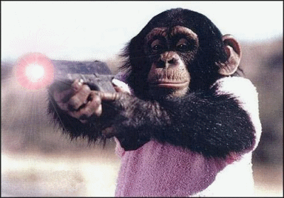 728653650_o.gif