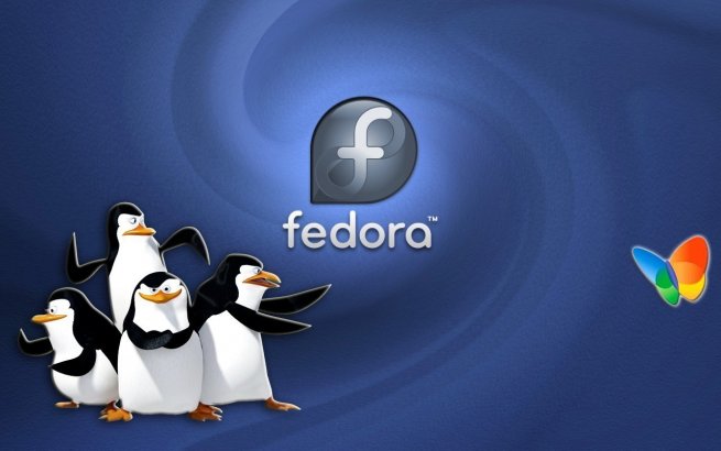 in-fedora-linux-sinvite-sur-ps4-firmware-176-1.jpg