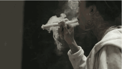 tumblr_mi3876iAka1rv8logo1_500.gif