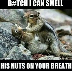 ccdd621eb36f41f0ad7f4bd57e7997b1.jpg